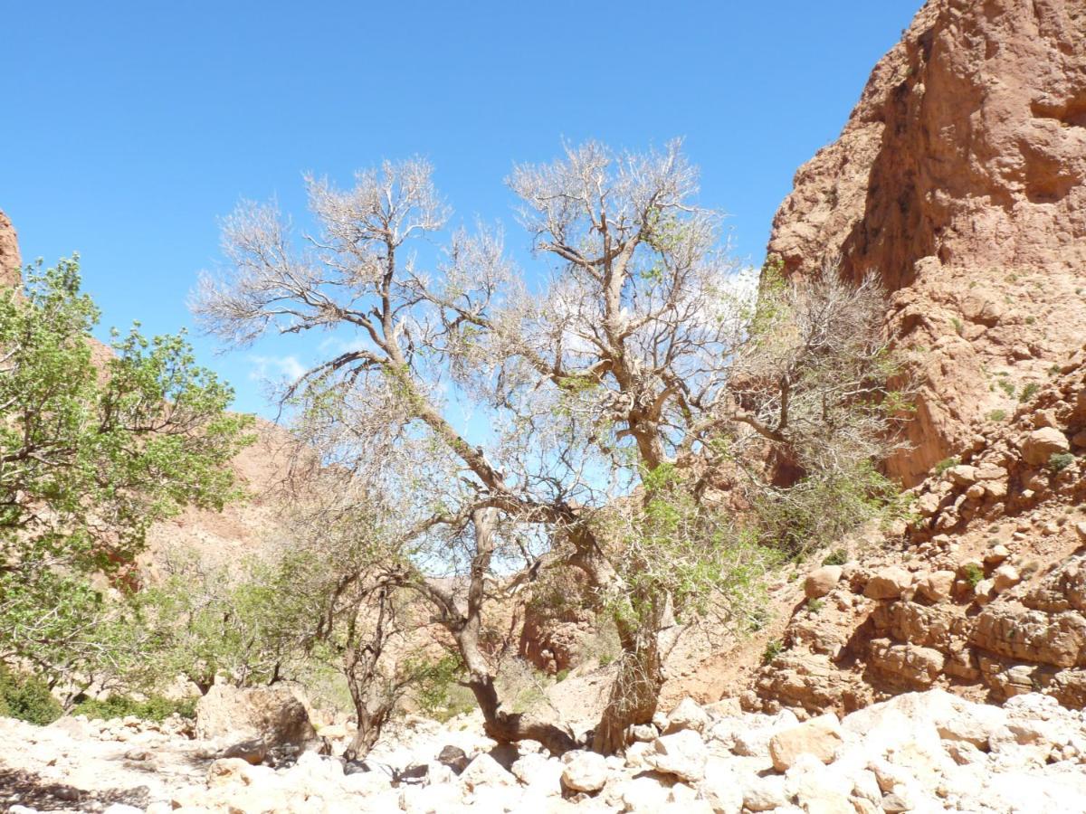 Les Jardins De Todgha Gorges De Todra Tinghir Hotel Aït Baha Exterior foto